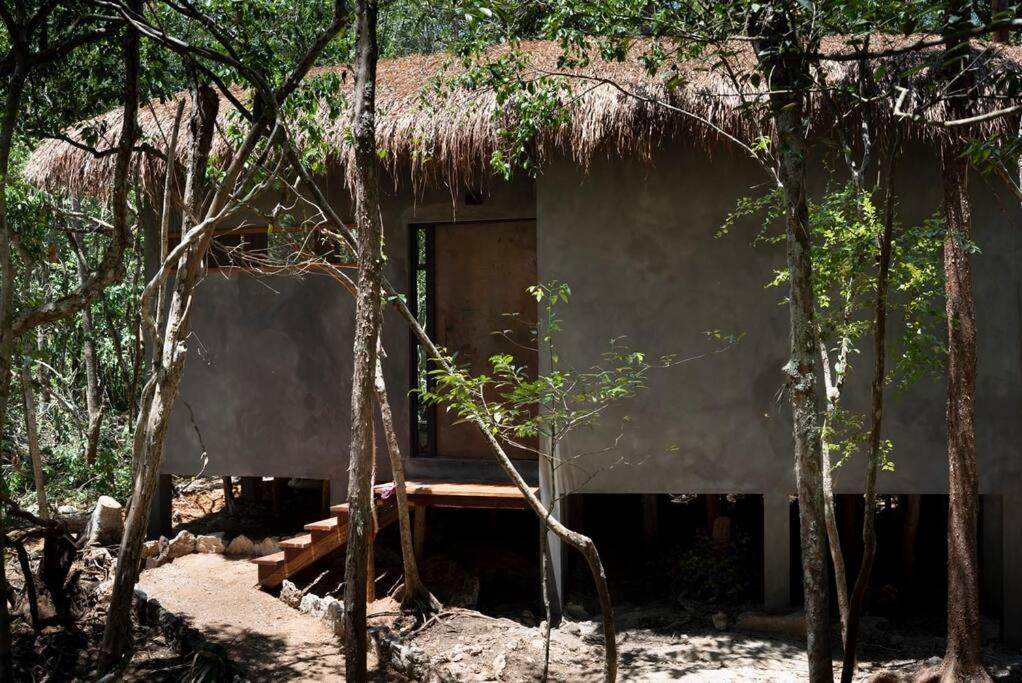 Ojo De Arbol, Boutique Cabin In The Real Jungle Tulum Exterior foto
