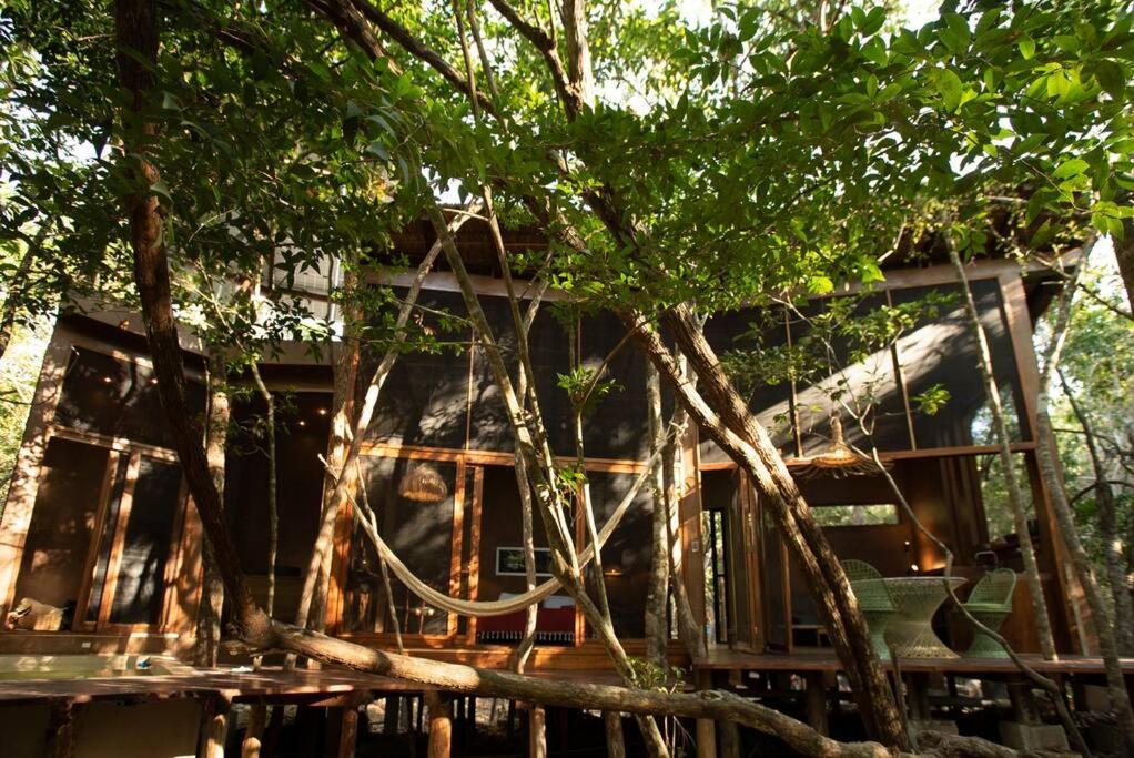 Ojo De Arbol, Boutique Cabin In The Real Jungle Tulum Exterior foto