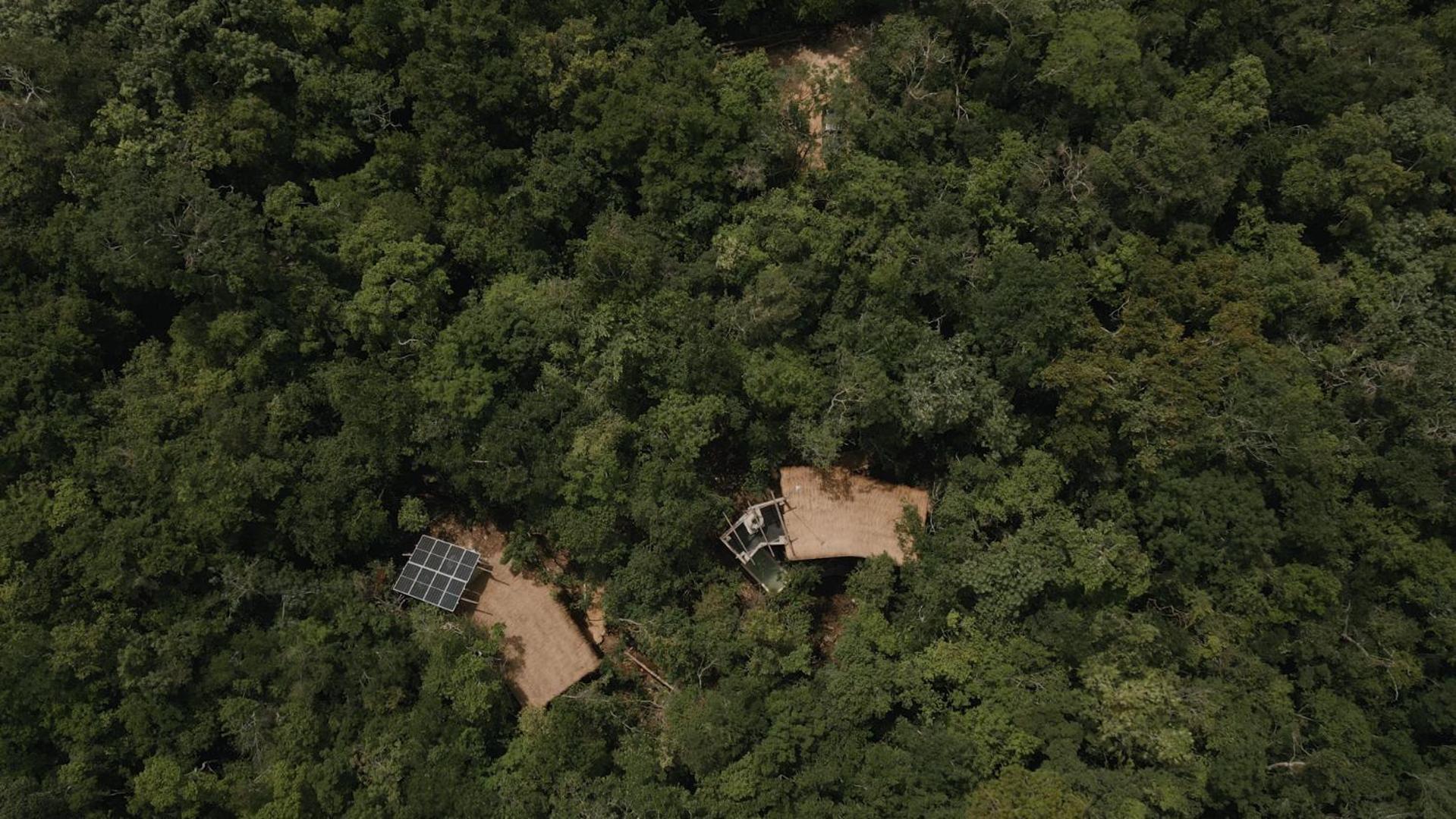 Ojo De Arbol, Boutique Cabin In The Real Jungle Tulum Exterior foto